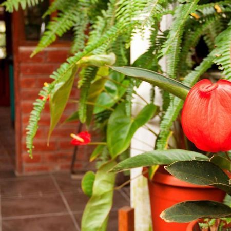 El Pedron Hotel 바뇨스 외부 사진